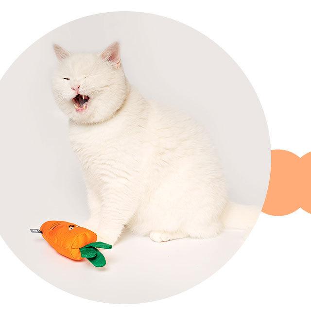 ペット 猫 おもちゃ にんじん ペットグッズ 韓国 かわいい ペット用品 可愛い 音 噛む プレゼント 誕生日 Biteme Carrot セレクトショップcharme 通販 Yahoo ショッピング