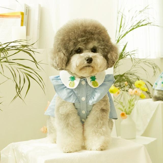 犬 服 かわいい 洋服 犬の服 ワンピース ワンピ トップス 可愛い