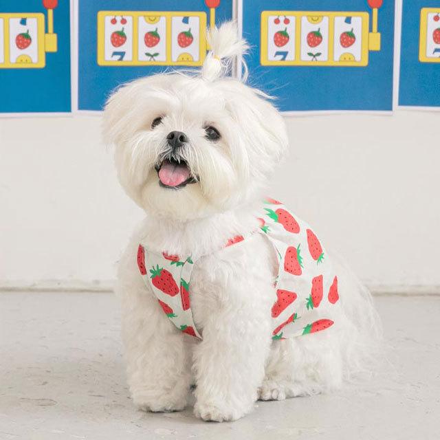 犬 服 洋服 犬の服 かわいい 可愛い おしゃれ いちご イチゴ 苺 biteme