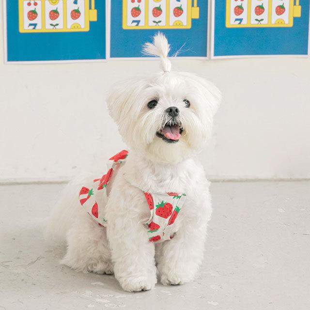 犬 服 洋服 犬の服 かわいい 可愛い おしゃれ いちご イチゴ 苺 biteme
