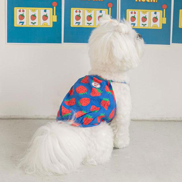 犬 服 洋服 犬の服 かわいい 可愛い おしゃれ いちご イチゴ 苺 biteme