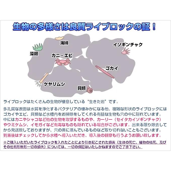 チャーム】Sグレードライブロック サイズミックス（5kg）（形状お