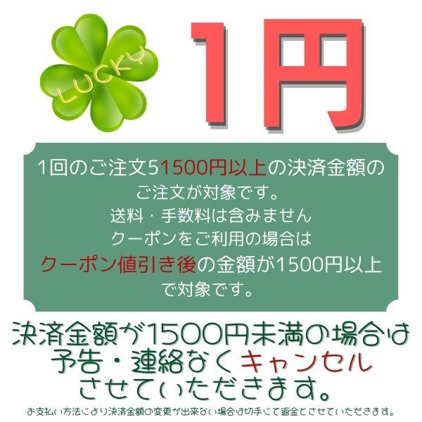 1500円以上購入のお客様限定 1円 おまけ お楽しみ ビーズ パーツ 