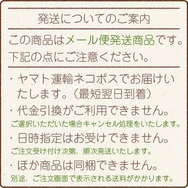 新茶 お茶 深蒸し茶 静岡産上級深蒸し茶 おもむき 100g メール便 送料無料 深蒸し茶 茶葉 静岡茶 緑茶 煎茶 セール green tea｜chashoan｜02