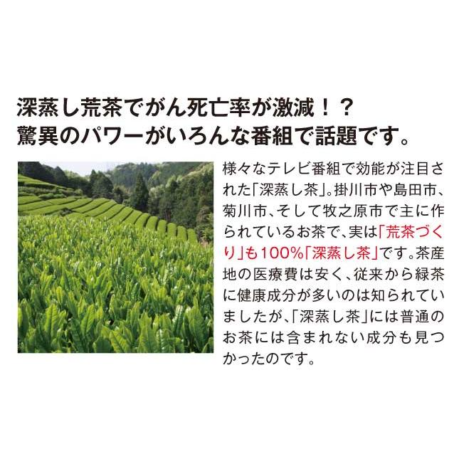 お茶 深蒸し茶 荒茶づくり 100g 2袋セット メール便 送料無料 ポイント消化 深蒸茶 静岡茶 緑茶 日本茶 あら茶 煎茶｜chashoan｜11