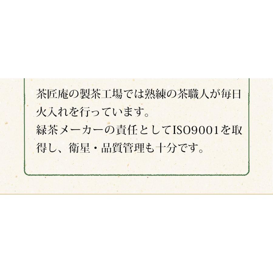 お茶 掛川茶 深蒸し茶 100g メール便 送料無料 日本茶 緑茶 深蒸し茶 静岡茶 深むし茶 ポイント消化｜chashoan｜12