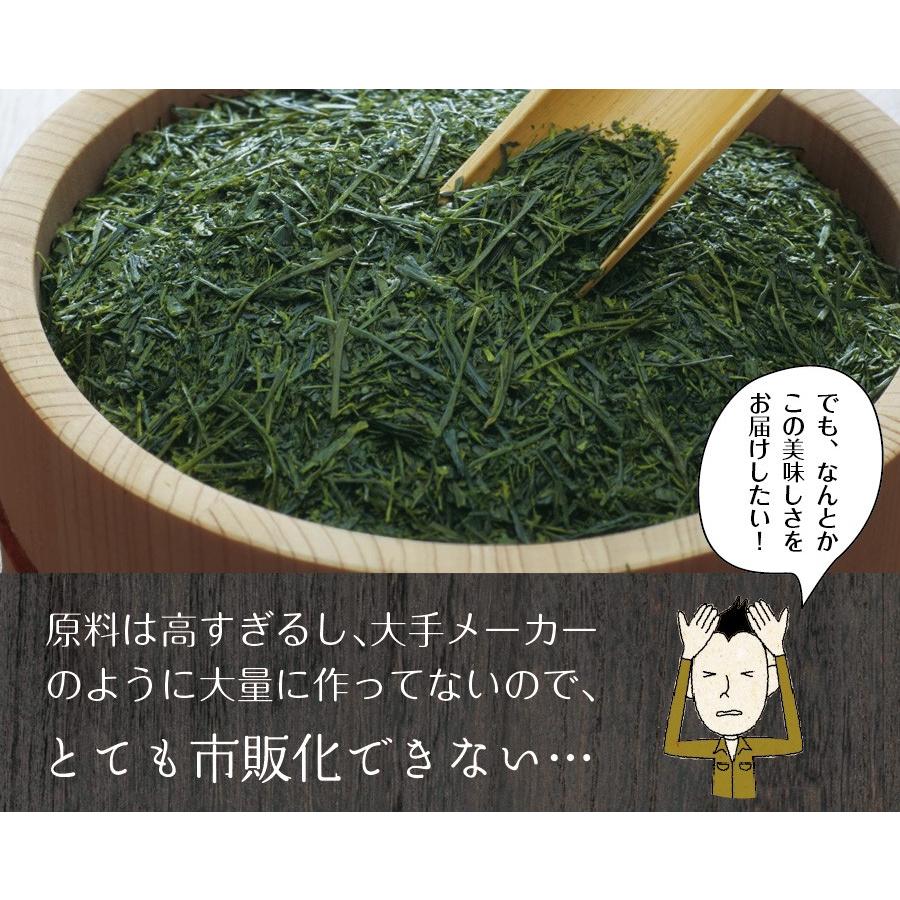 いなば園 Z P 9/24以降発送予定 緑茶 500ml 24本 ペットボトル