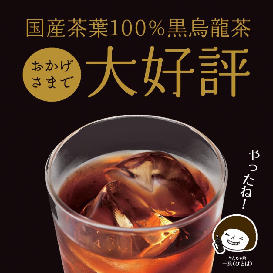 いなば園 Z T 黒烏龍茶 500ml 24本 国産 日本産 黒ウーロン茶