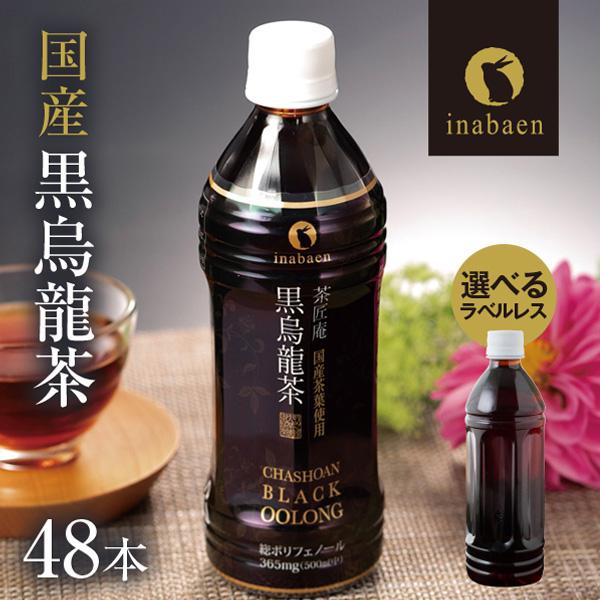 Z BS 国産 黒烏龍茶 ペットボトル 2ケース 送料無料 500ml 48本 プレミアム国産黒烏龍茶 国産茶葉100% 高ポリフェノール ウーロン茶 ポイント消化 | 