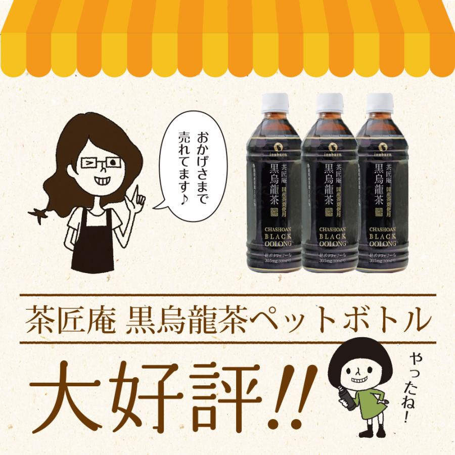 Z BS 国産 黒烏龍茶 ペットボトル 2ケース 送料無料 500ml 48本 プレミアム国産黒烏龍茶 国産茶葉100% 高ポリフェノール ウーロン茶 ポイント消化 |  | 12