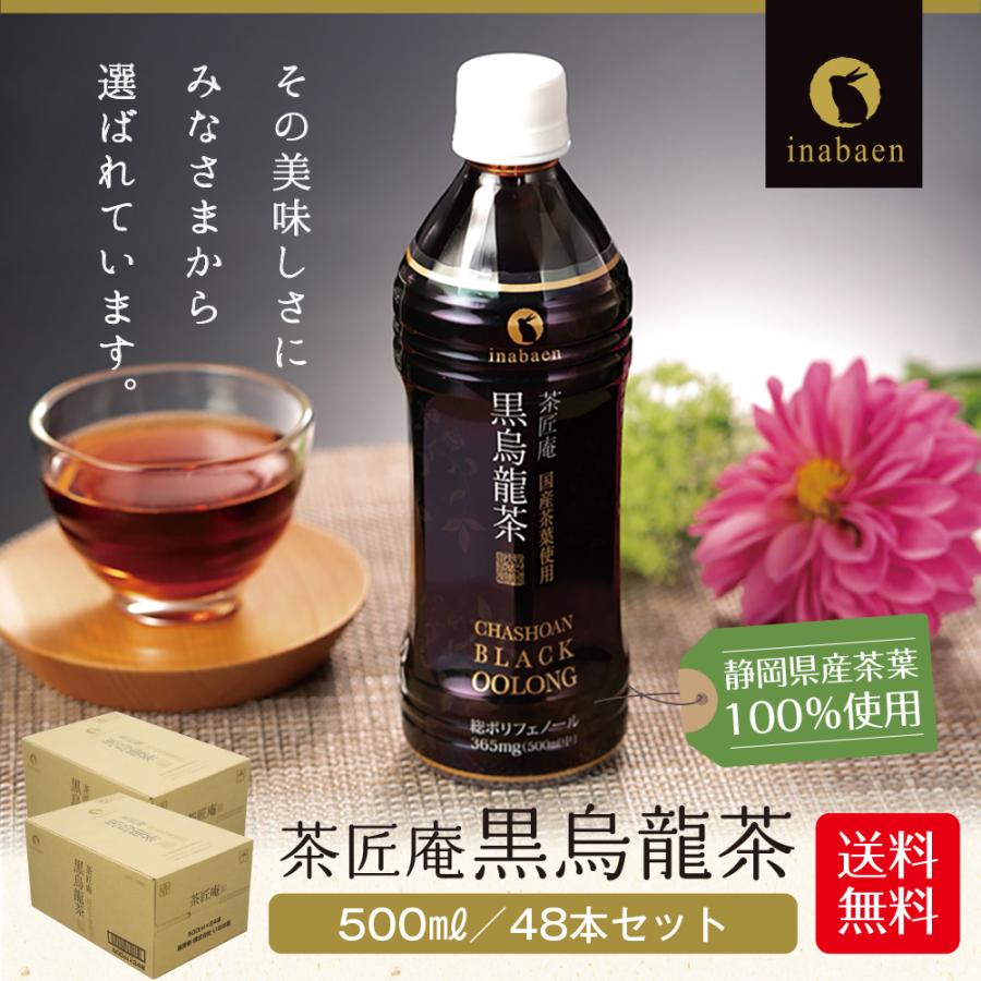 Z BS 国産 黒烏龍茶 ペットボトル 2ケース 送料無料 500ml 48本 プレミアム国産黒烏龍茶 国産茶葉100% 高ポリフェノール ウーロン茶 ポイント消化 |  | 02