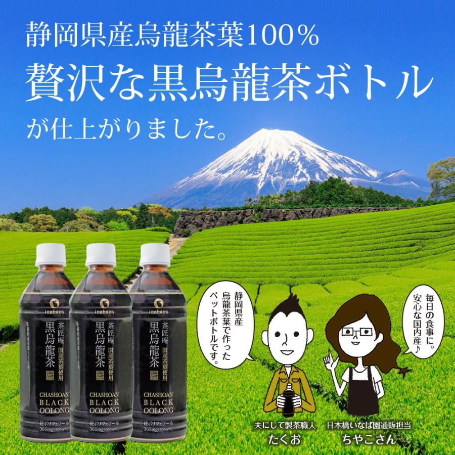 Z BS 国産 黒烏龍茶 ペットボトル 2ケース 送料無料 500ml 48本 プレミアム国産黒烏龍茶 国産茶葉100% 高ポリフェノール ウーロン茶 ポイント消化 |  | 03