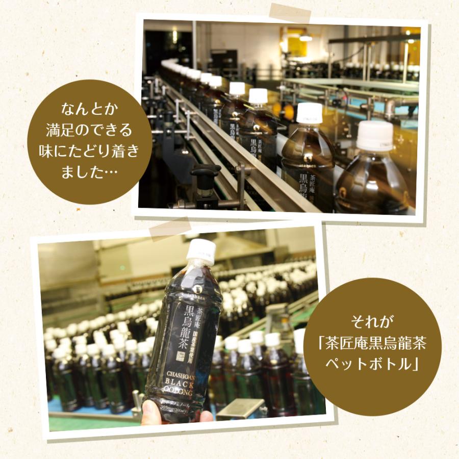 Z BS 国産 黒烏龍茶 ペットボトル 2ケース 送料無料 500ml 48本 プレミアム国産黒烏龍茶 国産茶葉100% 高ポリフェノール ウーロン茶 ポイント消化 |  | 08