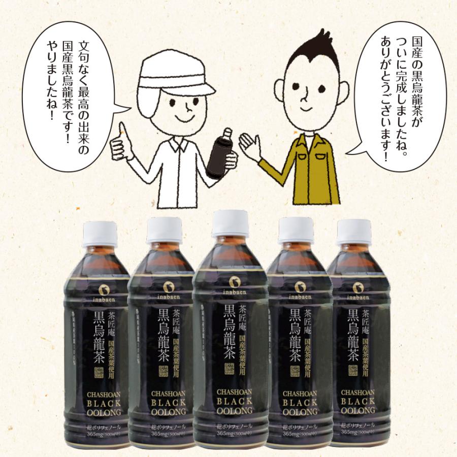 Z BS 国産 黒烏龍茶 ペットボトル 2ケース 送料無料 500ml 48本 プレミアム国産黒烏龍茶 国産茶葉100% 高ポリフェノール ウーロン茶 ポイント消化 |  | 09