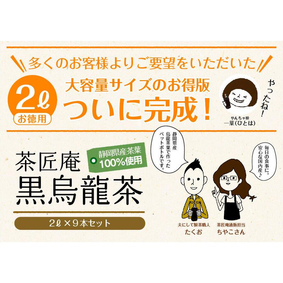 黒烏龍茶 静岡県産 ペットボトル 2リットル 9本 送料無料 2L 高ポリフェノール ウーロン茶 黒ウーロン茶 大容量｜chashoan｜03