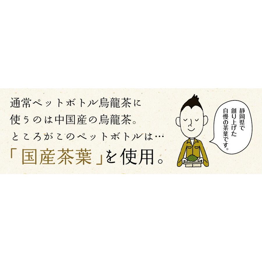 黒烏龍茶 静岡県産 ペットボトル 2リットル 9本 送料無料 2L 高ポリフェノール ウーロン茶 黒ウーロン茶 大容量｜chashoan｜07