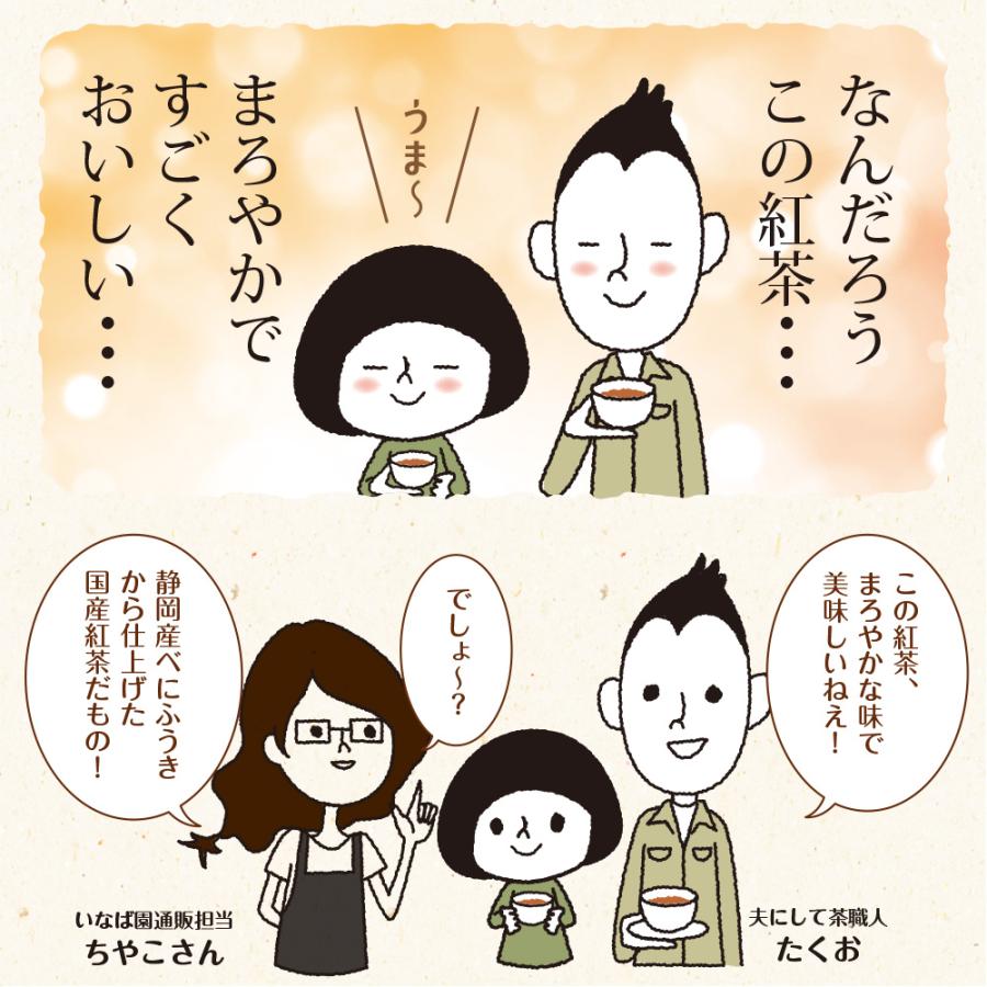 いなば園 紅茶 お茶 和紅茶 静岡産和紅茶 ティーバッグ 25包 メール便