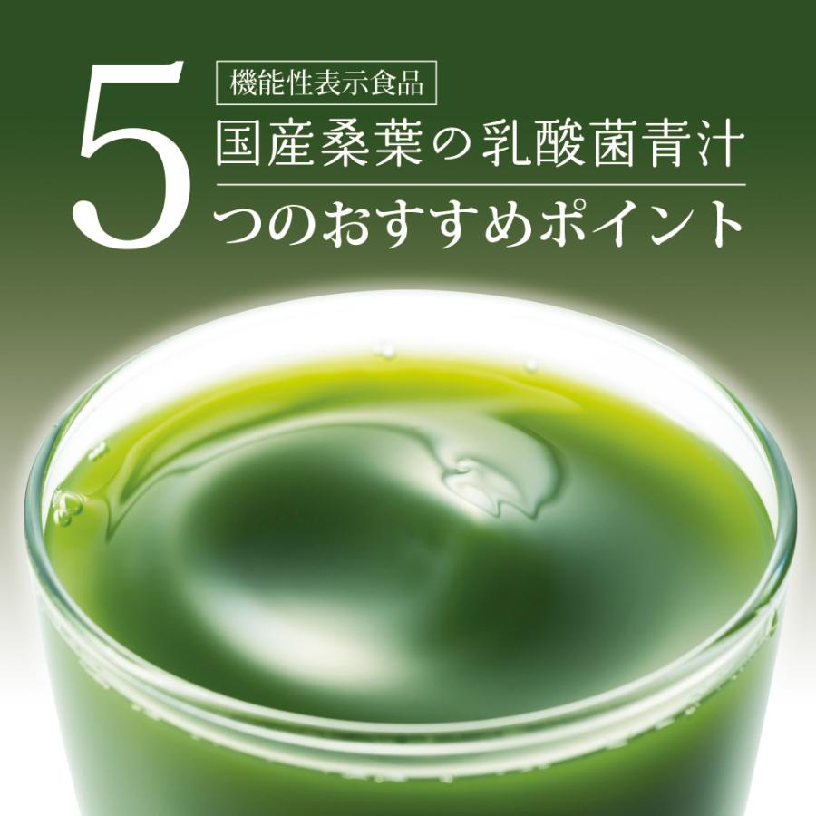 Z BS 桑の葉茶 乳酸菌入り青汁 パウダー 粉末 スティック 国産 有機 無農薬 30包 個包装 飲みやすい 酵素 お茶屋と製薬会社の共同開発 酵母 | いなば園 | 09