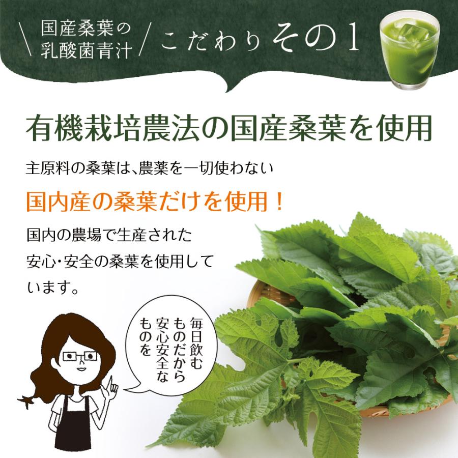 Z BS 桑の葉茶 乳酸菌入り青汁 パウダー 粉末 スティック 国産 有機 無農薬 30包 個包装 飲みやすい 酵素 お茶屋と製薬会社の共同開発 酵母 | いなば園 | 10