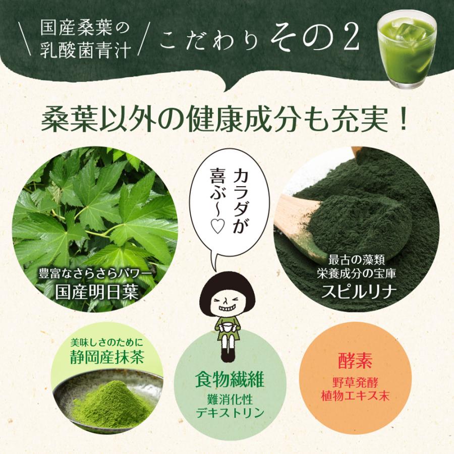 Z BS 桑の葉茶 乳酸菌入り青汁 パウダー 粉末 スティック 国産 有機 無農薬 30包 個包装 飲みやすい 酵素 お茶屋と製薬会社の共同開発 酵母 | いなば園 | 11