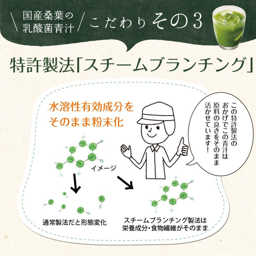 Z BS 桑の葉茶 乳酸菌入り青汁 パウダー 粉末 スティック 国産 有機 無農薬 30包 個包装 飲みやすい 酵素 お茶屋と製薬会社の共同開発 酵母 | いなば園 | 12