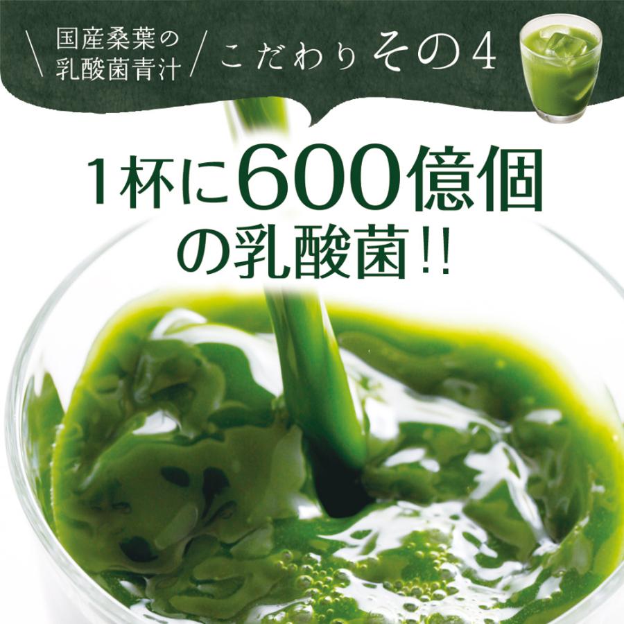 Z BS 桑の葉茶 乳酸菌入り青汁 パウダー 粉末 スティック 国産 有機 無農薬 30包 個包装 飲みやすい 酵素 お茶屋と製薬会社の共同開発 酵母 | いなば園 | 13