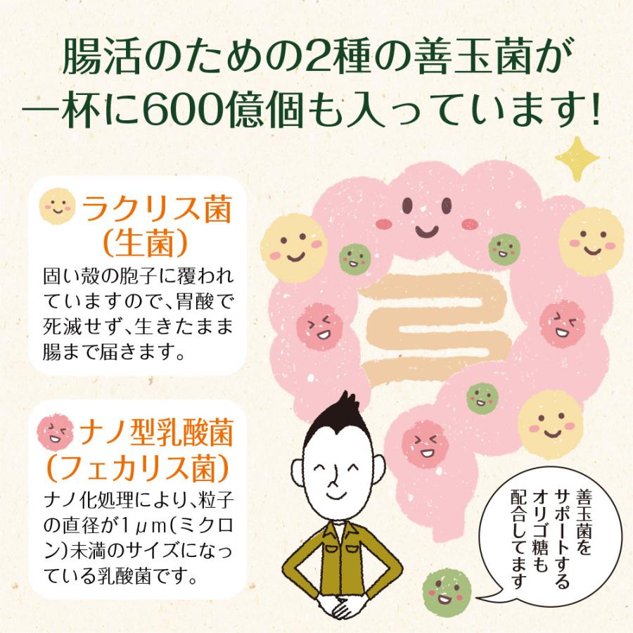 Z BS 桑の葉茶 乳酸菌入り青汁 パウダー 粉末 スティック 国産 有機 無農薬 30包 個包装 飲みやすい 酵素 お茶屋と製薬会社の共同開発 酵母 | いなば園 | 14