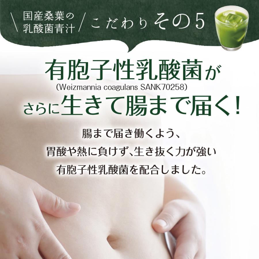 Z BS 桑の葉茶 乳酸菌入り青汁 パウダー 粉末 スティック 国産 有機 無農薬 30包 個包装 飲みやすい 酵素 お茶屋と製薬会社の共同開発 酵母 | いなば園 | 15