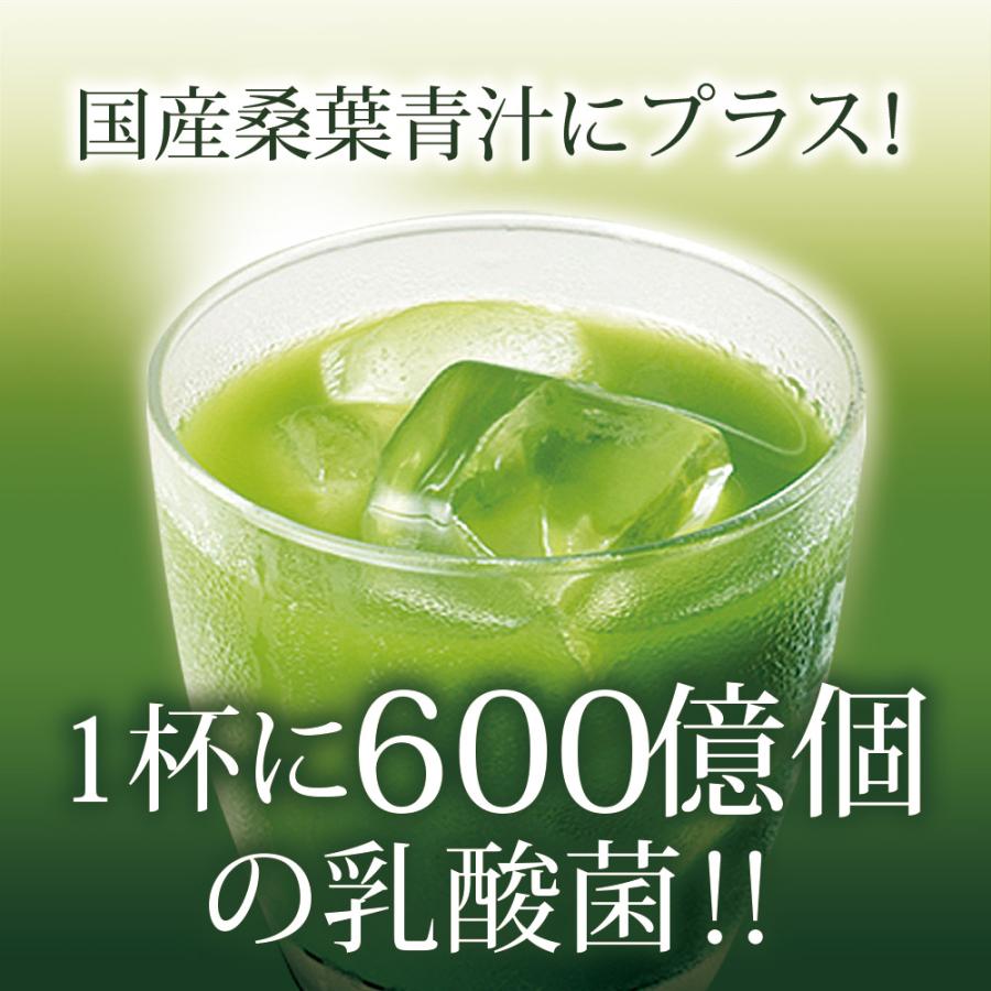 Z BS 桑の葉茶 乳酸菌入り青汁 パウダー 粉末 スティック 国産 有機 無農薬 30包 個包装 飲みやすい 酵素 お茶屋と製薬会社の共同開発 酵母 | いなば園 | 17