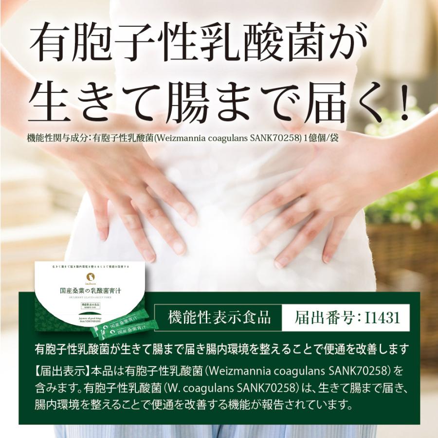 Z BS 桑の葉茶 乳酸菌入り青汁 パウダー 粉末 スティック 国産 有機 無農薬 30包 個包装 飲みやすい 酵素 お茶屋と製薬会社の共同開発 酵母 | いなば園 | 03