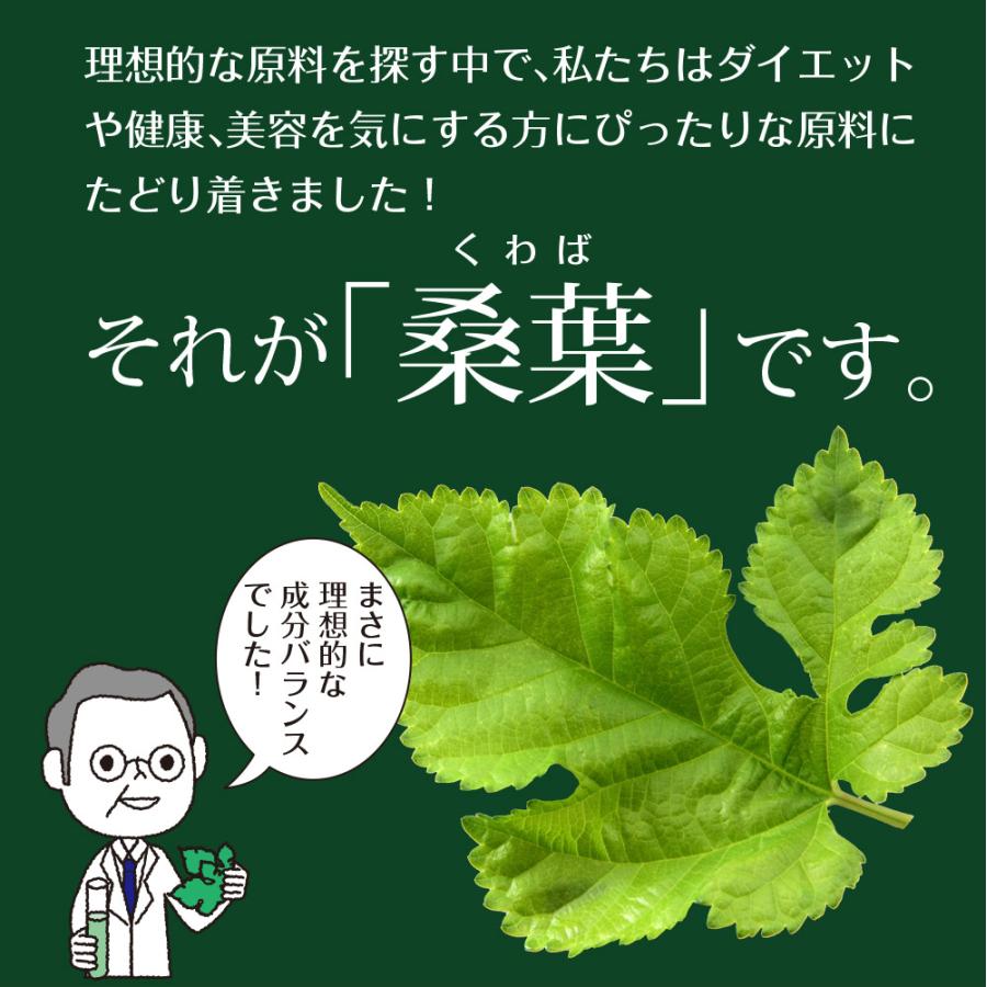 Z BS 桑の葉茶 乳酸菌入り青汁 パウダー 粉末 スティック 国産 有機 無農薬 30包 個包装 飲みやすい 酵素 お茶屋と製薬会社の共同開発 酵母 | いなば園 | 05