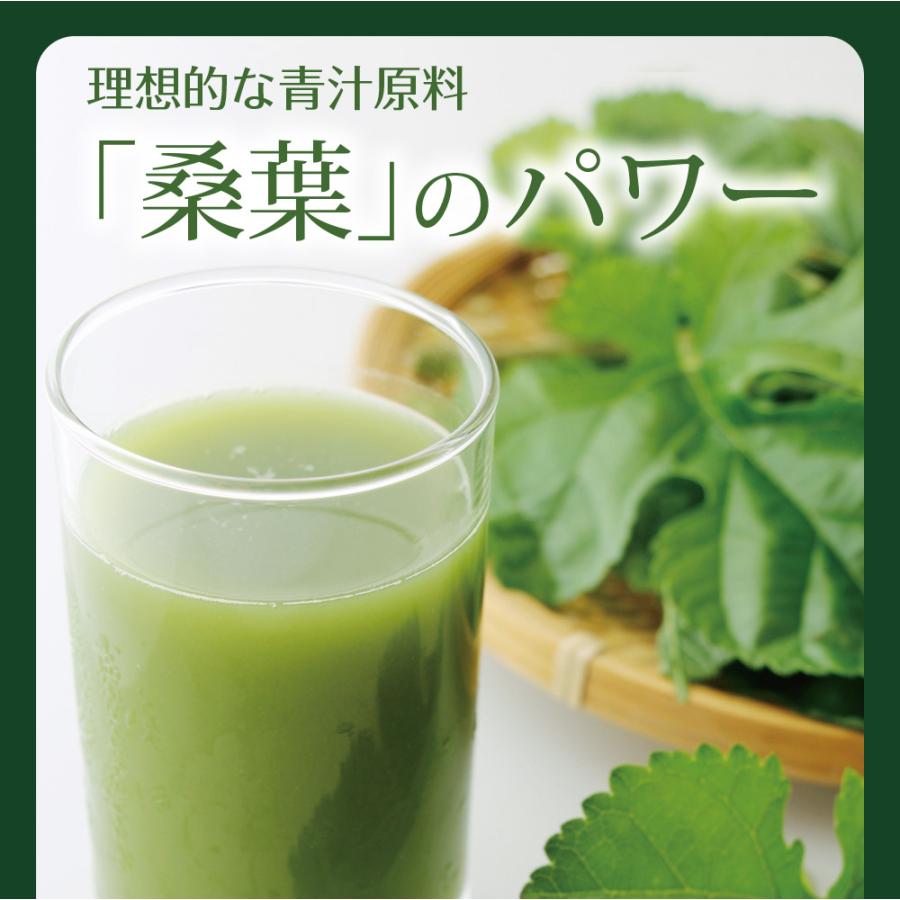 Z BS 桑の葉茶 乳酸菌入り青汁 パウダー 粉末 スティック 国産 有機 無農薬 30包 個包装 飲みやすい 酵素 お茶屋と製薬会社の共同開発 酵母 | いなば園 | 06
