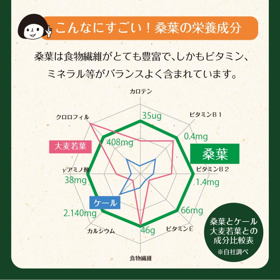 Z BS 桑の葉茶 乳酸菌入り青汁 パウダー 粉末 スティック 国産 有機 無農薬 30包 個包装 飲みやすい 酵素 お茶屋と製薬会社の共同開発 酵母 | いなば園 | 07