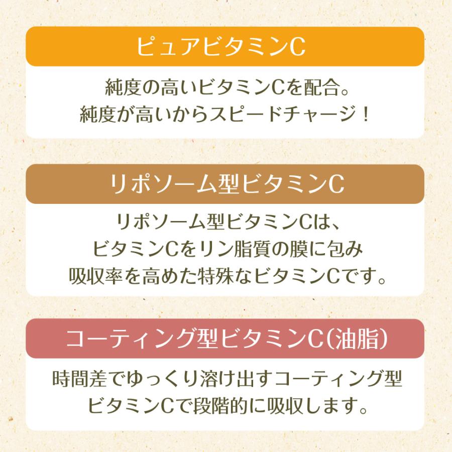 Z サジーと3つのビタミンC メール便 ダイエット 健康食品 サプリ