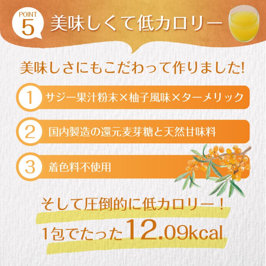 Z サジーと3つのビタミンC メール便 ダイエット 健康食品 サプリ