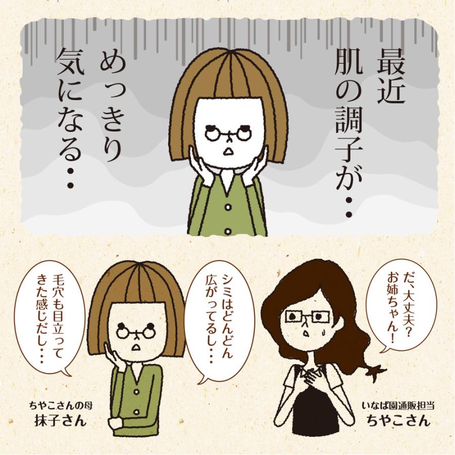 Z サジーと3つのビタミンC メール便 ダイエット 健康食品 サプリ