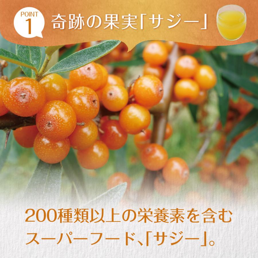 Z サジーと3つのビタミンC メール便 ダイエット 健康食品 サプリ