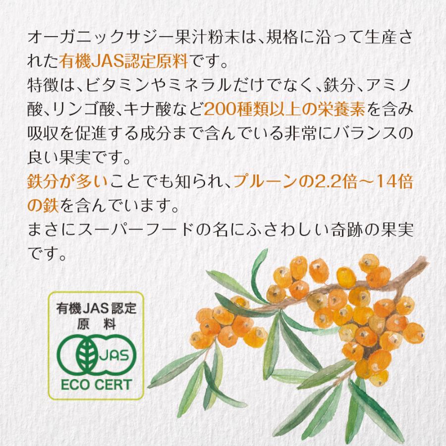 Z サジーと3つのビタミンC メール便 ダイエット 健康食品 サプリ