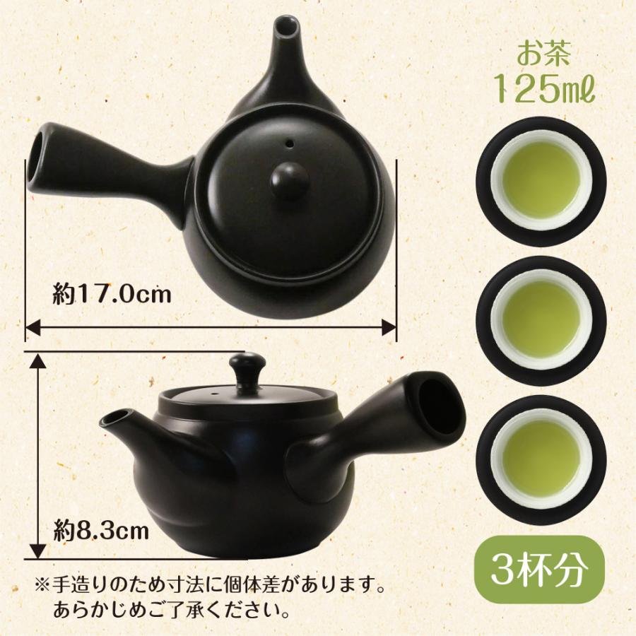 急須 常滑焼 送料無料 深蒸し茶急須 茶が楽 chagara 380cc IB