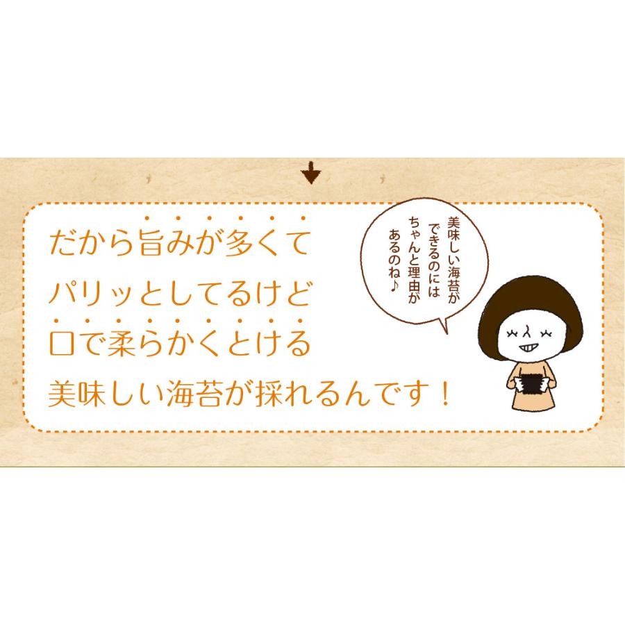 海苔 有明産 訳あり焼き海苔 全型30枚 高級一番摘み全型20枚 お得用40枚も選べる 有明海産 メール便送料無料 訳あり海苔 焼海苔 焼き海苔 焼きのり 焼のり｜chashoan｜12
