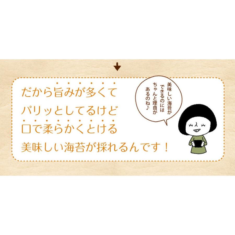 海苔 きざみ海苔 有明産 上級きざみ海苔 40g メール便 送料無料 刻み海苔 きざみ海苔 きざみのり ちらし寿司 弁当 トッピング ポイント消化 お取り寄せグルメ｜chashoan｜08