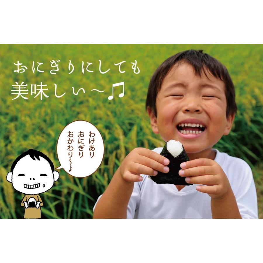 いつでも送料無料 海苔 訳あり 有明産訳あり焼海苔 32枚 メール便 送料無料 ポイント消化 1000円ポッキリ 焼きのり おにぎり 葉酸 セール タウリン お取り寄せグルメ karatsu-switch.com いつでも送料無料 海苔 訳あり 有明産訳あり焼海苔 32枚 メール便 送料無料 ポイント消化 1000円ポッキリ 焼きのり おにぎり 葉酸 セール タウリン お取り寄せグルメ karatsu-switch.com