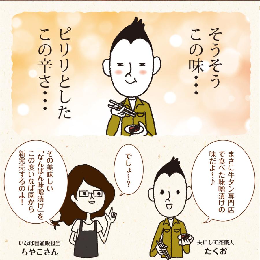 南蛮みそ漬け 100g 4袋セット メール便 送料無料 南蛮味噌漬け 青とうがらし 青唐辛子 牛たん 牛タン 仙台牛たん なんばんみそ漬け 丸山食品 非常食 保存食 | いなば園 | 02