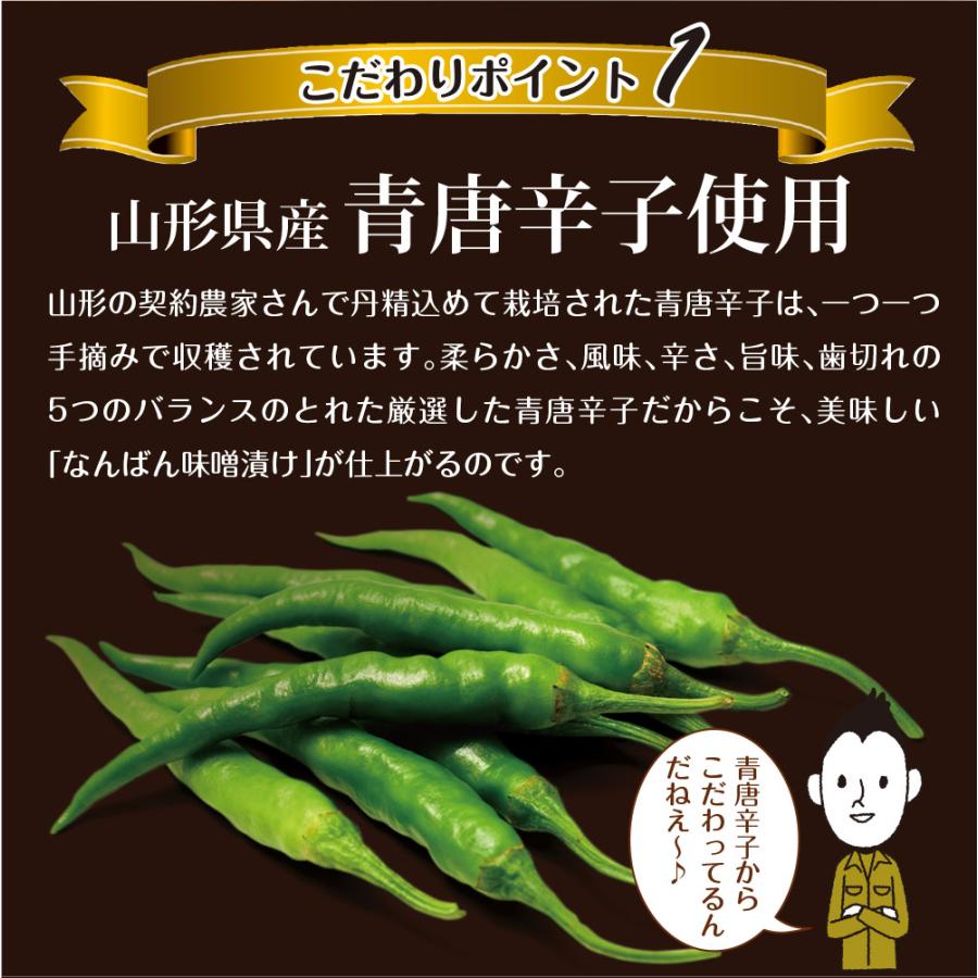 南蛮みそ漬け 100g 4袋セット メール便 送料無料 南蛮味噌漬け 青とうがらし 青唐辛子 牛たん 牛タン 仙台牛たん なんばんみそ漬け 丸山食品 非常食 保存食 | いなば園 | 04