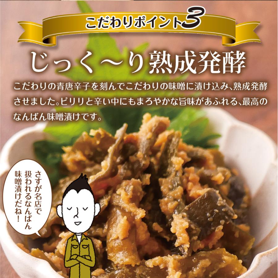 南蛮みそ漬け 100g 4袋セット メール便 送料無料 南蛮味噌漬け 青とうがらし 青唐辛子 牛たん 牛タン 仙台牛たん なんばんみそ漬け 丸山食品 非常食 保存食 | いなば園 | 06