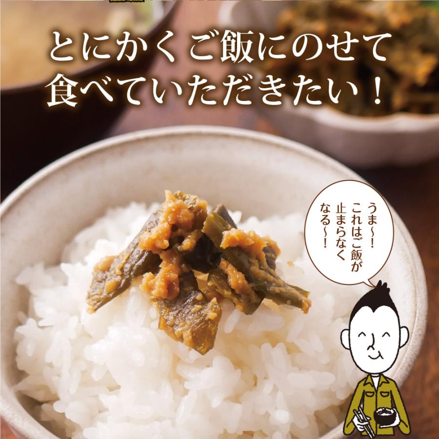 南蛮みそ漬け 100g 4袋セット メール便 送料無料 南蛮味噌漬け 青とうがらし 青唐辛子 牛たん 牛タン 仙台牛たん なんばんみそ漬け 丸山食品 非常食 保存食 | いなば園 | 07