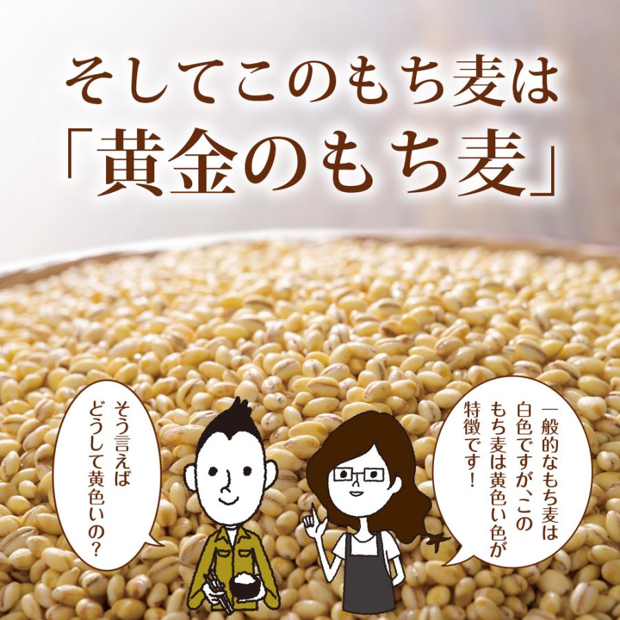8月下旬頃発送予定 もち麦 国産 九州産 900g 送料無料 パック おにぎり ごはん ご飯 お米 無添加 食物繊維 スーパーフード ダイエット 健康 腸活 | いなば園 | 12