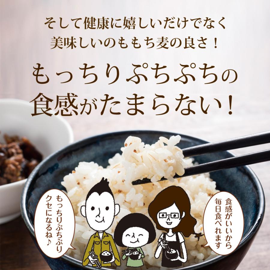いなば園 BS Z もち麦 国産 九州産 900g 送料無料 パック おにぎり
