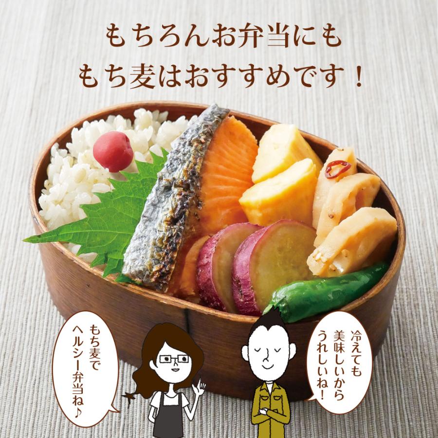 いなば園 BS Z もち麦 国産 九州産 900g 送料無料 パック おにぎり