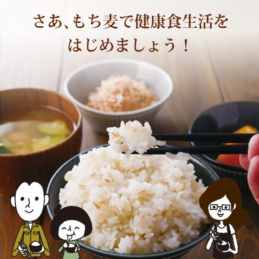 8月下旬頃発送予定 もち麦 国産 九州産 900g 送料無料 パック おにぎり ごはん ご飯 お米 無添加 食物繊維 スーパーフード ダイエット 健康 腸活 | いなば園 | 19